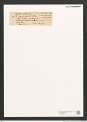 Surirella sp. (de-Toni-Nr.: Genus 53) Zeichnungen Sammlung Grunow (NHMW-BOT-W0373016)